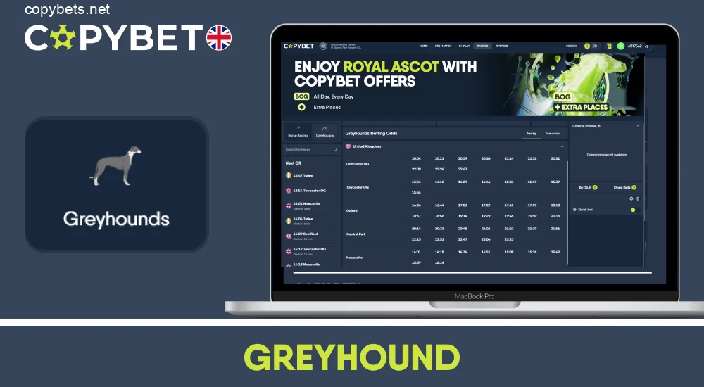 Greyhound race betting on Copybet UK