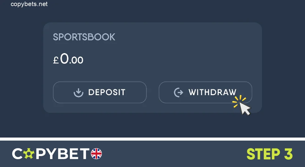 In the profile menu, click the Withdraw button, step 3